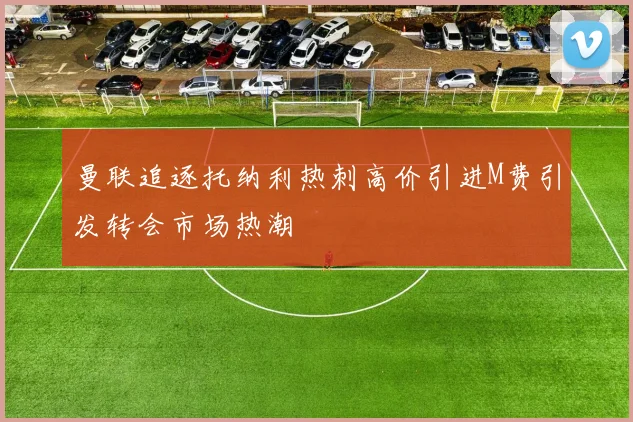 曼联追逐托纳利热刺高价引进M费引发转会市场热潮