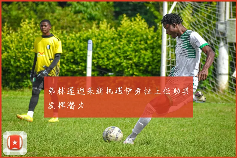 弗林蓬迎来新机遇伊劳拉上任助其发挥潜力