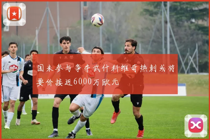 国米参与争夺武什科维奇热刺或将要价接近6000万欧元